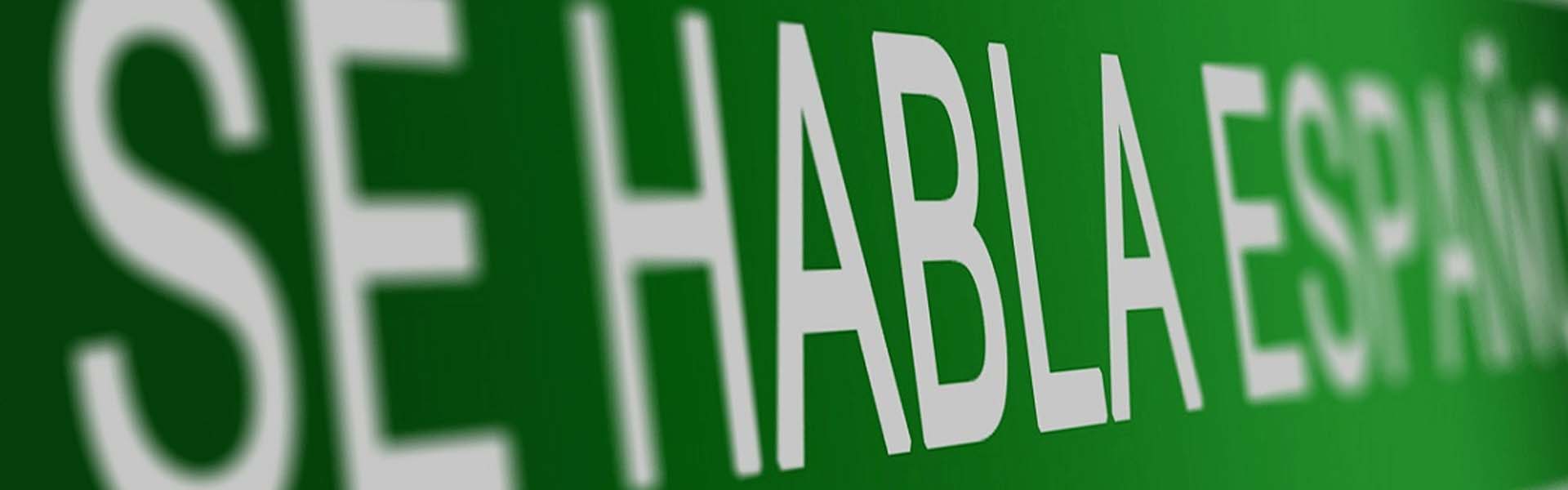 Curso de español para extranjeros (Spanish for Expats) in Saltillo: Su Puente hacia el Éxito Profesional